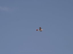 Maiden flight 2013 (66)